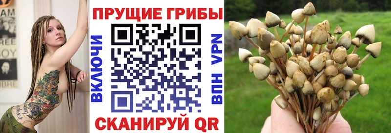 Купить закладки  Новая Усмань  Галлюциногенные грибы Magic Shrooms 